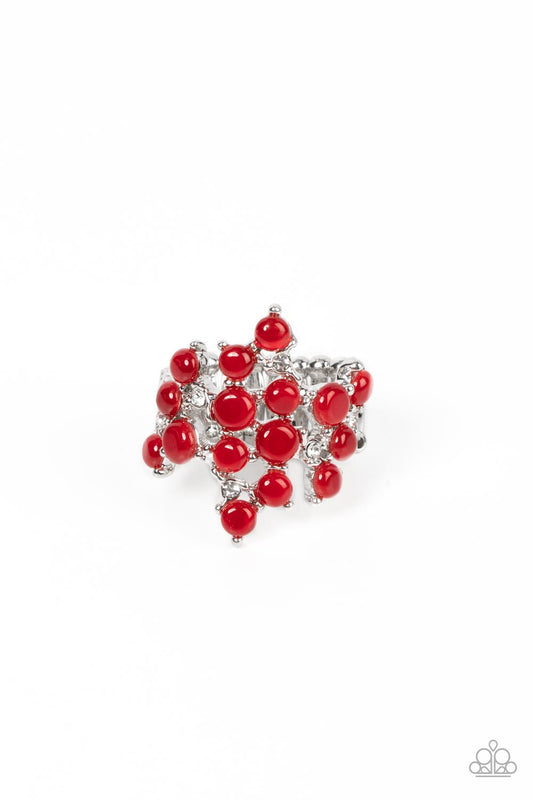 seeing-eye-to-cats-eye-red-p4se-rdxx-162xx