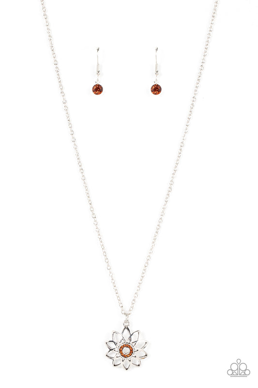 farmstead-fairytale-brown-p2se-bnxx-224xx