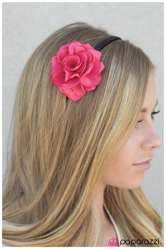 a-rose-is-a-rose-pink-p6ca-pkxx-026xx