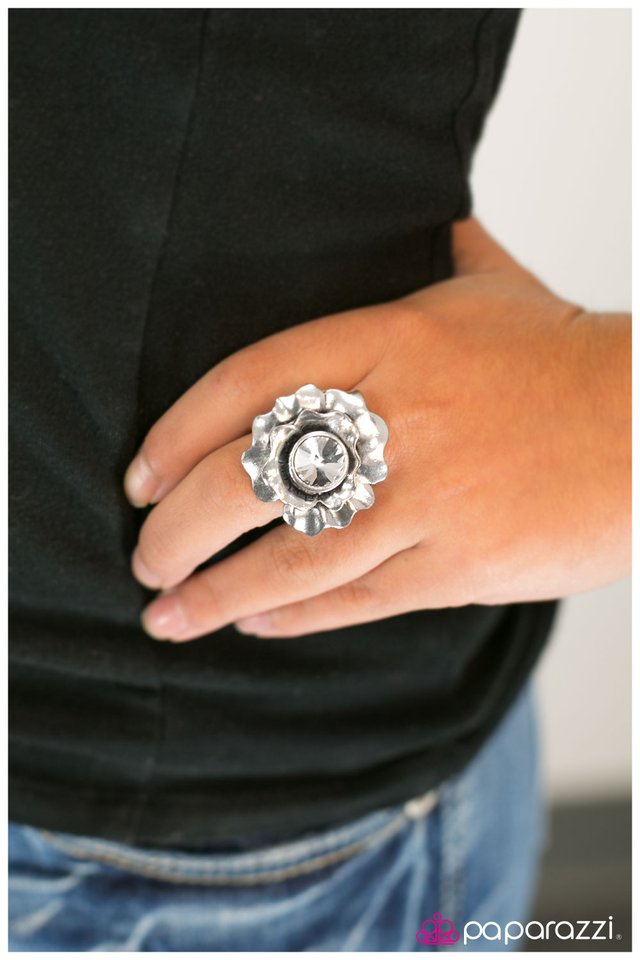 aint-she-sweet-p4wh-svxx-034xx