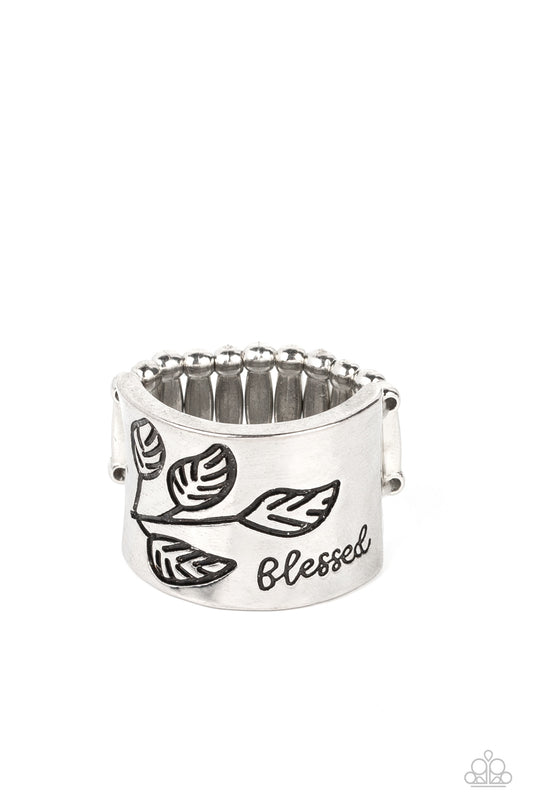 blessed-with-bling-silver-p4wd-svxx-133xx