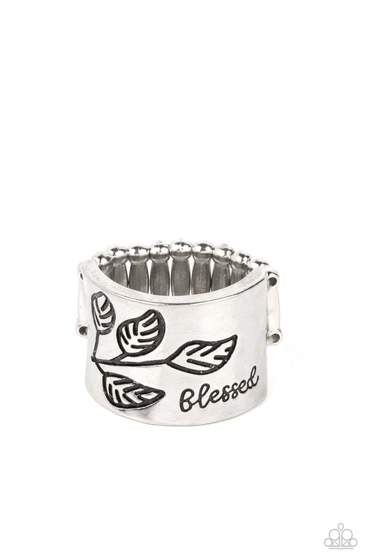 blessed-with-bling-silver-p4wd-svxx-133xx