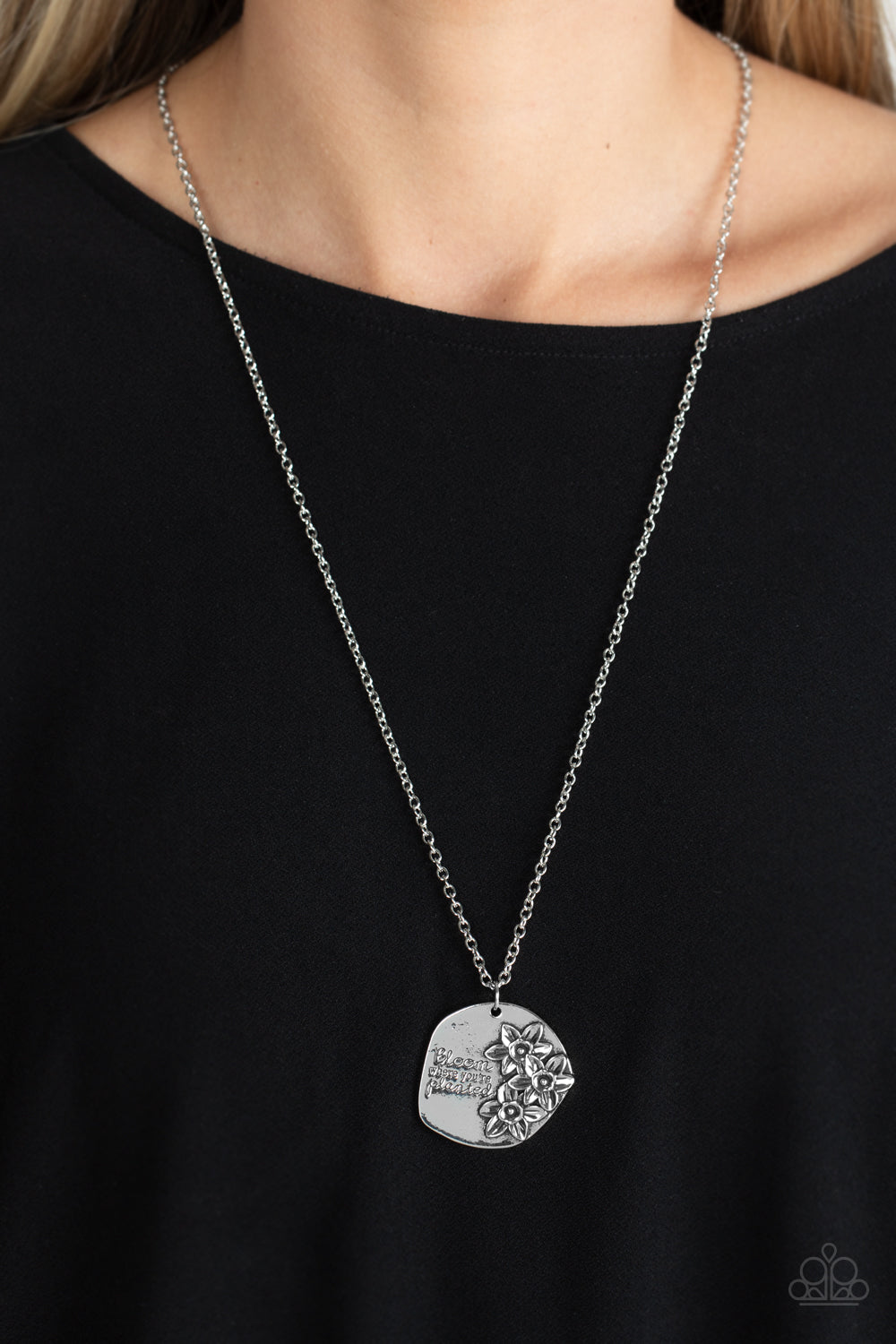 planted-possibilities-silver-p2wd-svxx-305xx