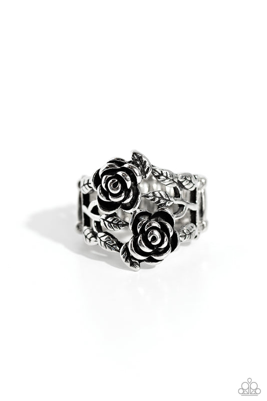 anything-rose-silver-p4wh-svxx-190xx