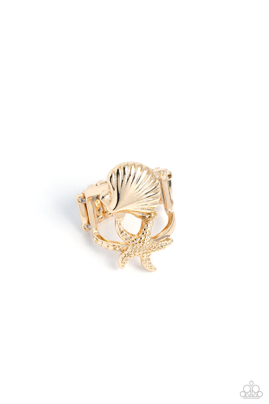 seashell-showcase-gold-p4ba-gdxx-062xx