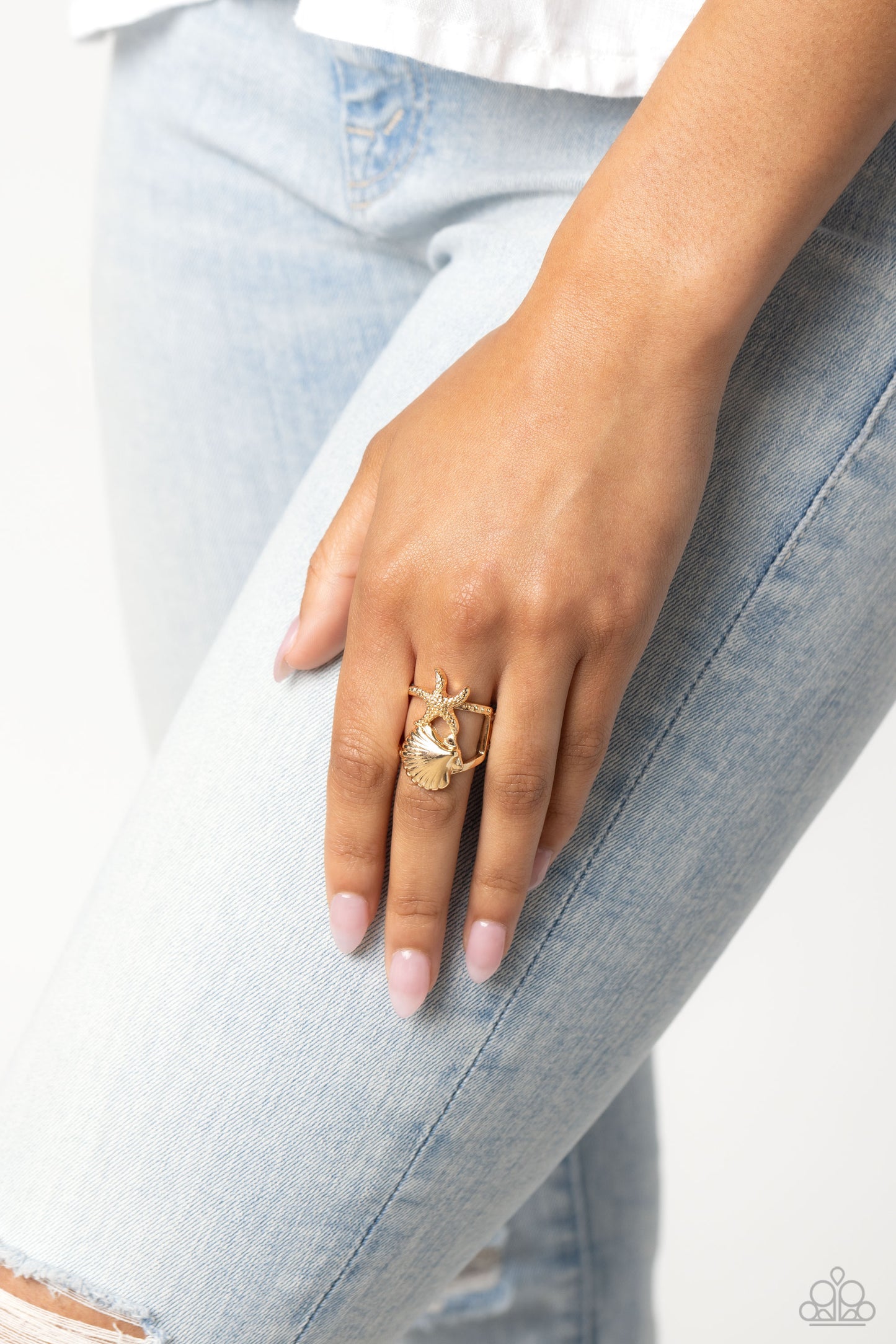 seashell-showcase-gold-p4ba-gdxx-062xx
