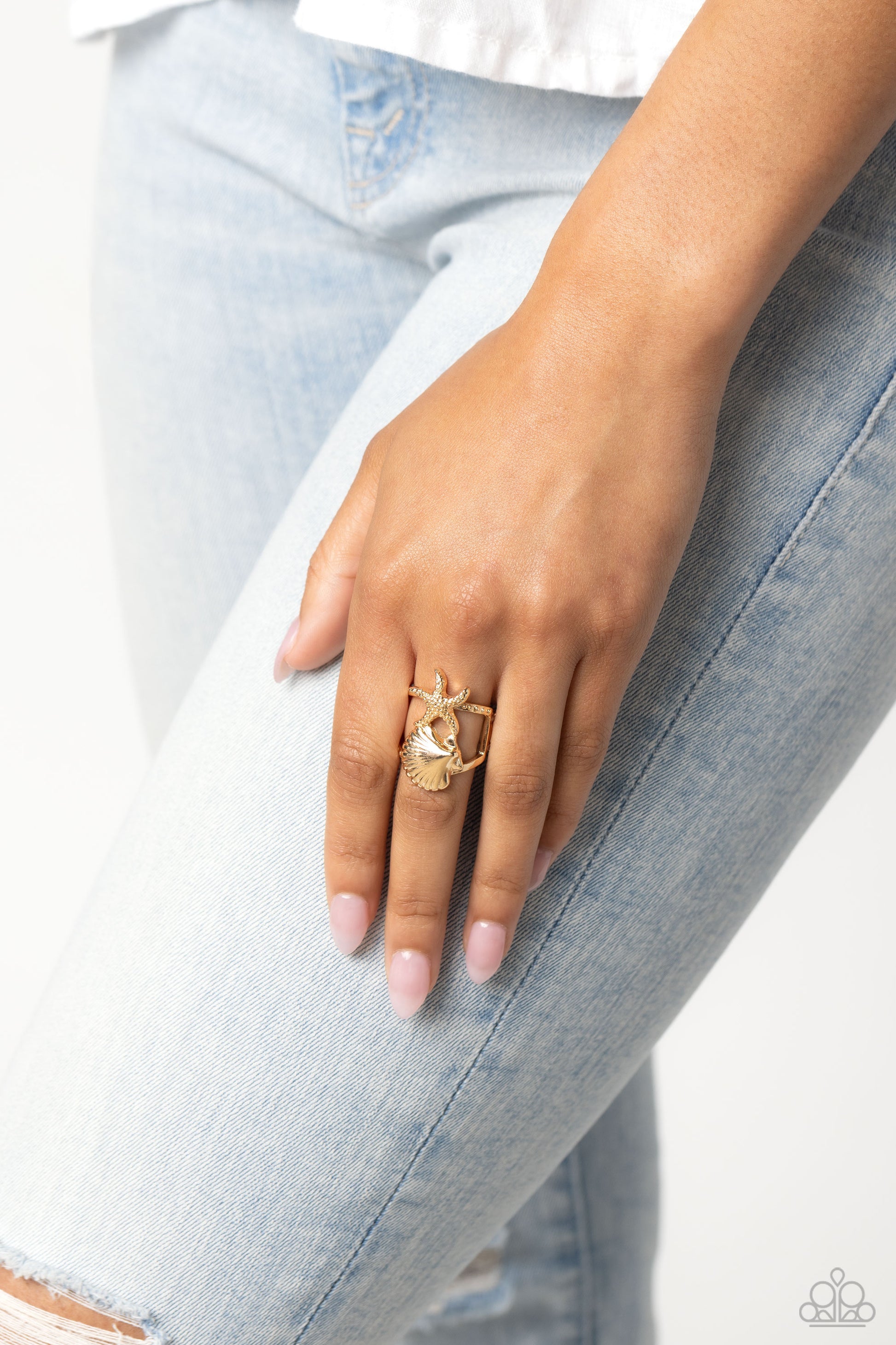 seashell-showcase-gold-p4ba-gdxx-062xx