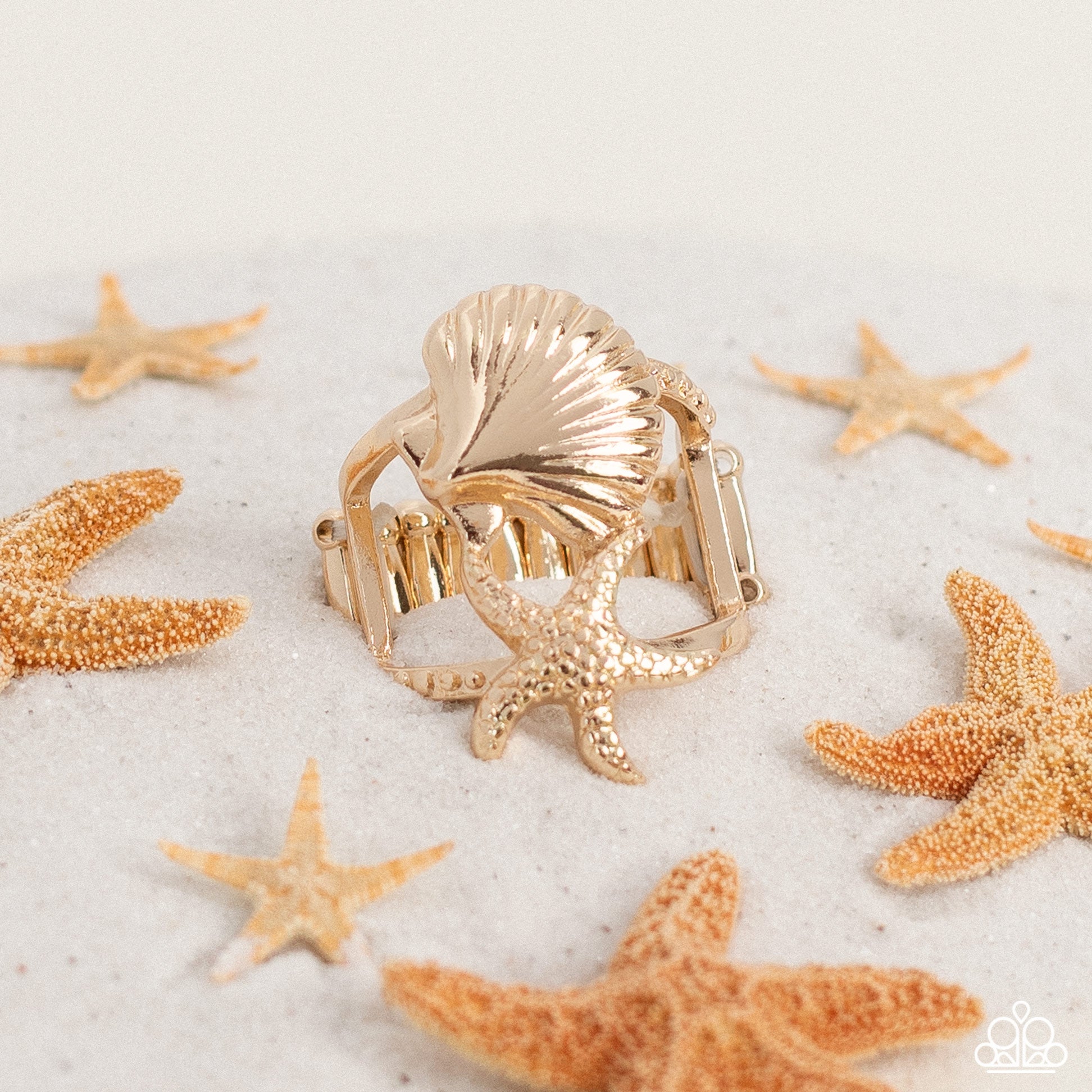 seashell-showcase-gold-p4ba-gdxx-062xx
