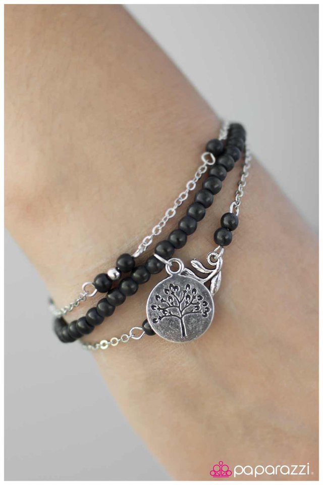 barking-up-the-wrong-tree-black-p9se-bkxx-024yl