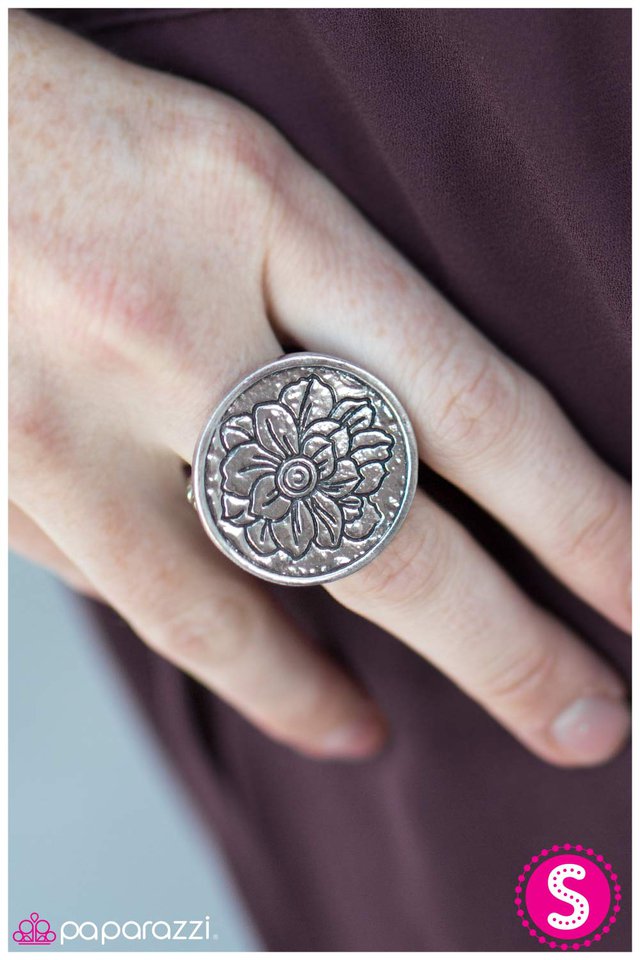 lady-antebellum-p4wh-svxx-038xx