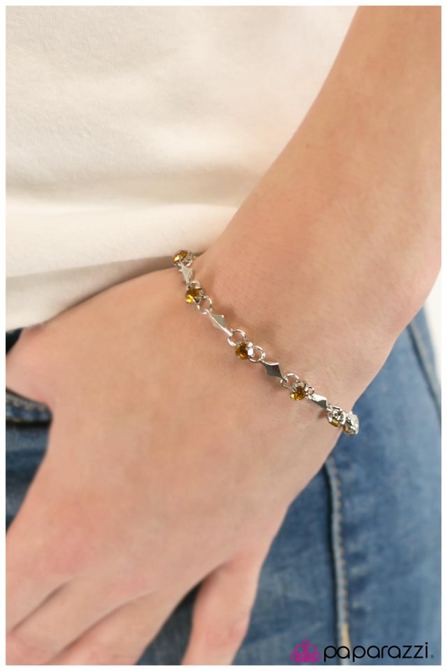 sparkle-and-shine-brown-p9da-bnxx-023xx