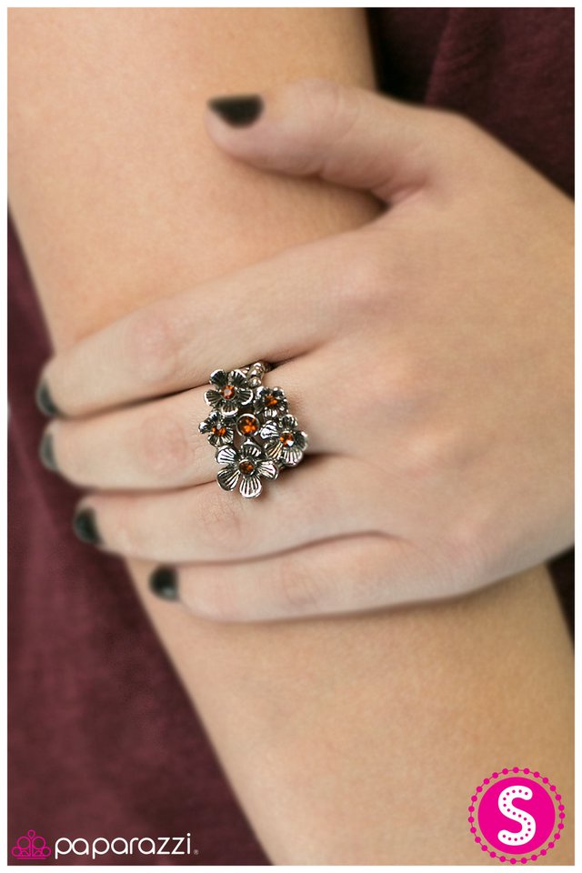 jane-eyre-p4wh-bnxx-033xx