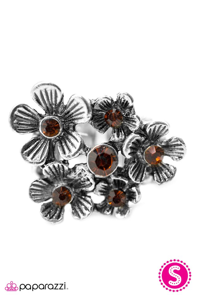 Paparazzi ♥ Jane Eyre - Brown ♥ Ring