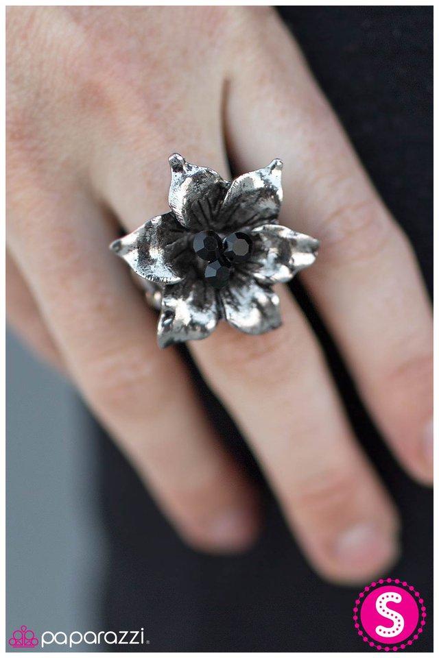 i-wanna-hold-your-hand-p4wh-bkxx-032xx