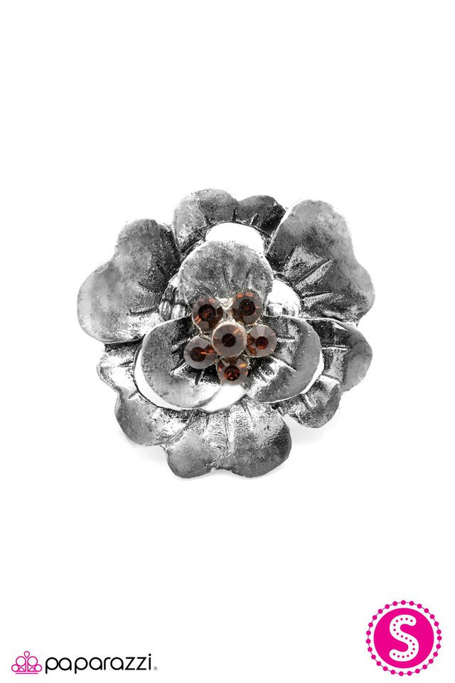 Paparazzi ♥ As Long As We Are Together - Brown ♥ Ring