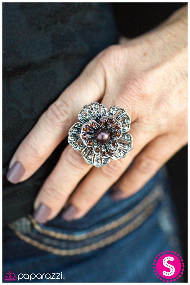 vanity-fair-brown-p4wh-bnxx-035xx