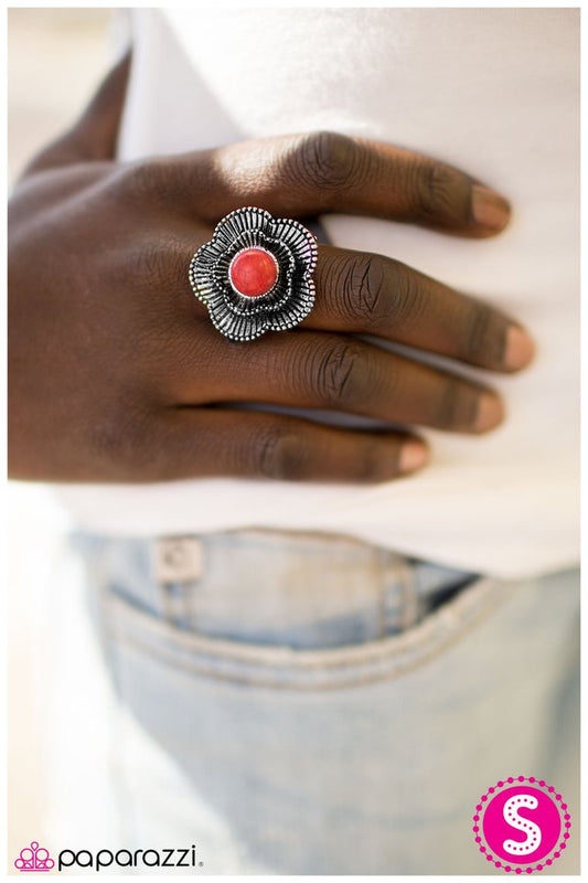 mojave-poppy-red-p4se-rdxx-027xx