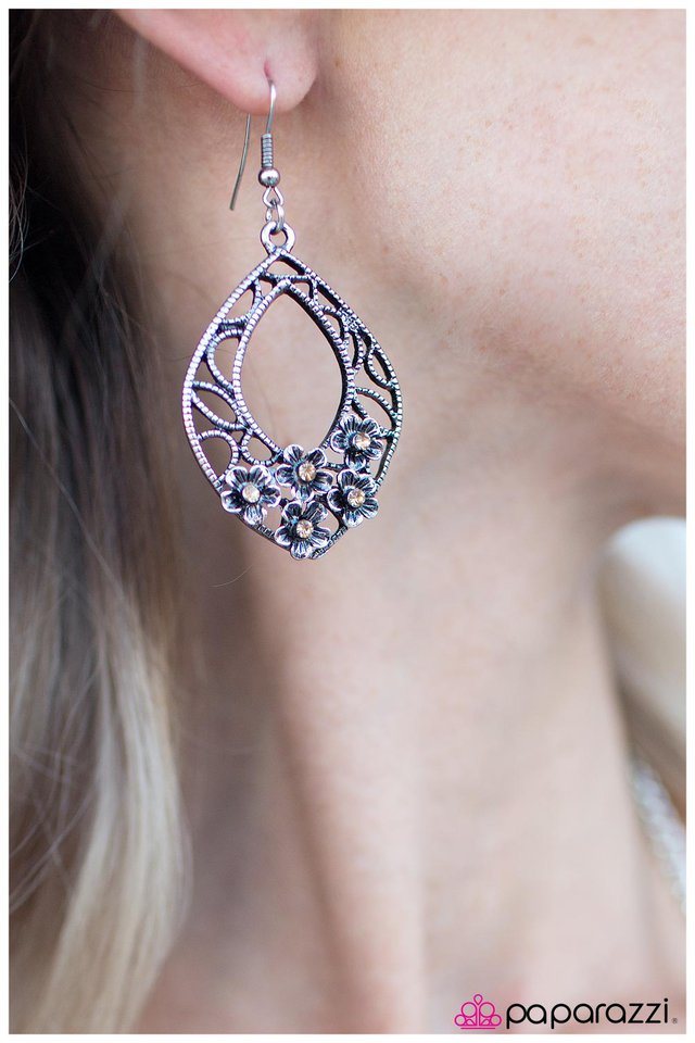 garden-party-brown-p5wh-bnxx-034xx