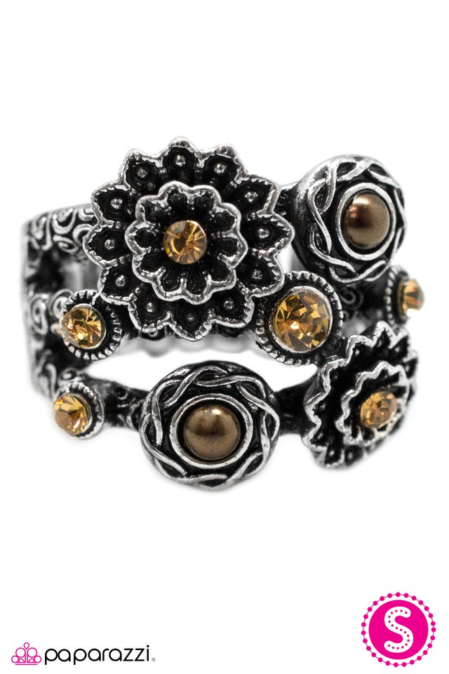 Paparazzi ♥ On The Contrary - Brown ♥ Ring