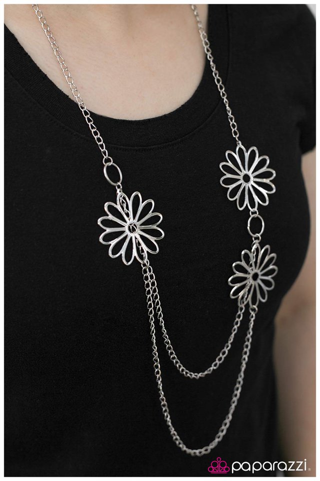 what-a-wonder-p2wh-svxx-070xx