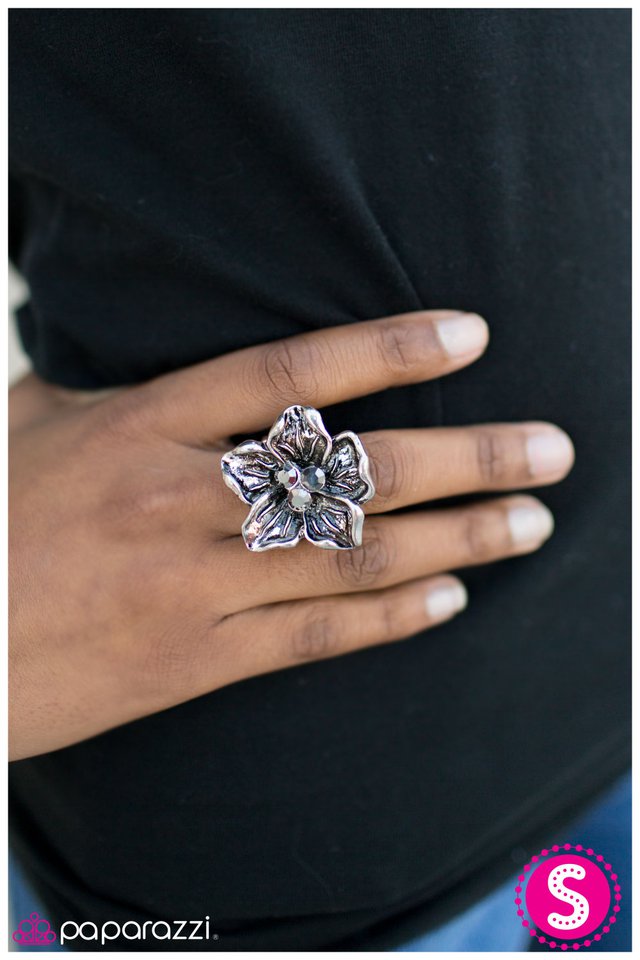 make-it-sparkle-p4wh-svxx-040xx