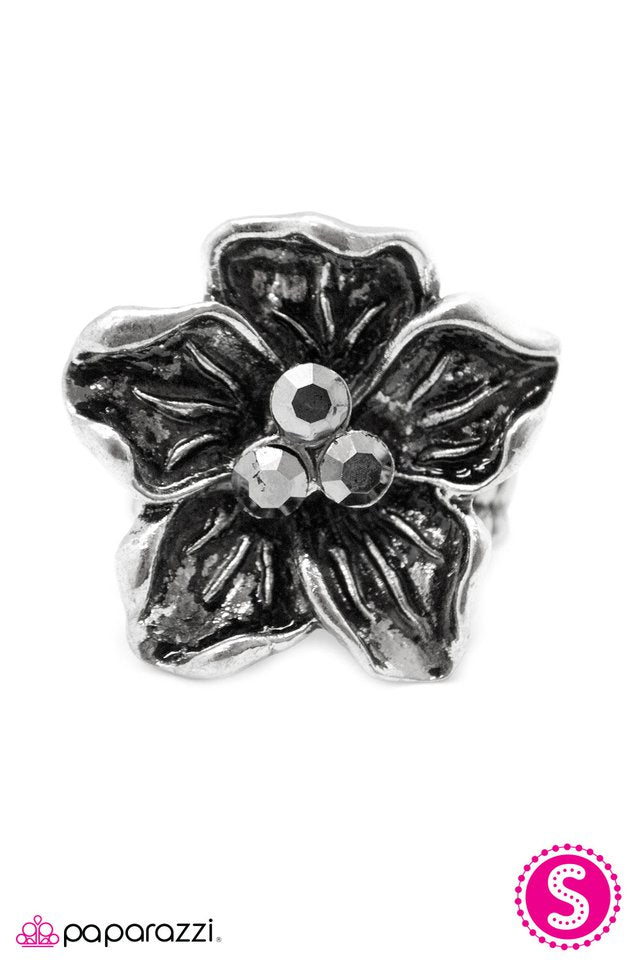 Paparazzi ♥ Make It Sparkle - Silver ♥ Ring