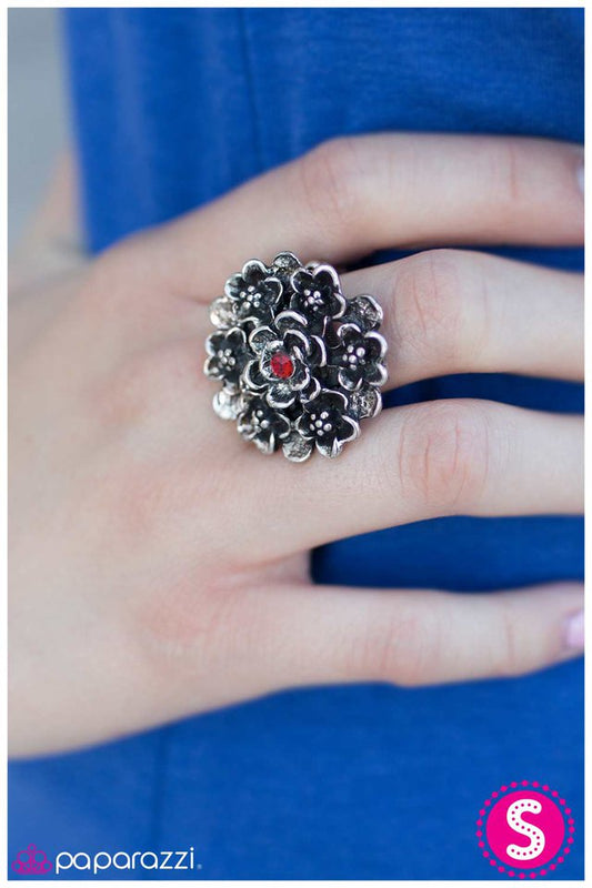 color-me-crimson-p4wh-rdxx-036xx