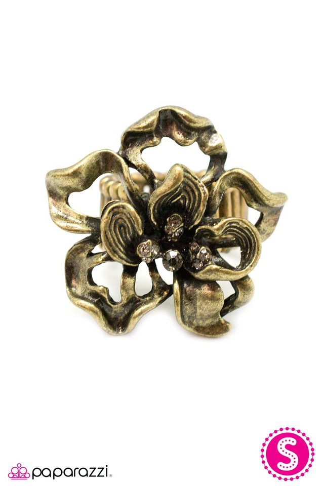 Paparazzi ♥ Contemporary Contours - Brass ♥ Ring