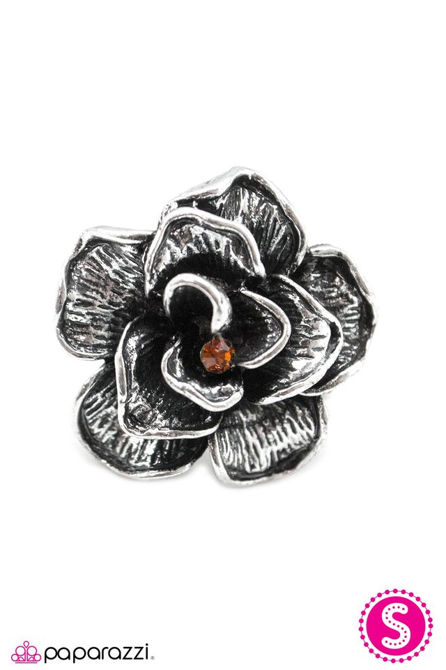 Paparazzi ♥ Spring Craving - Brown ♥ Ring