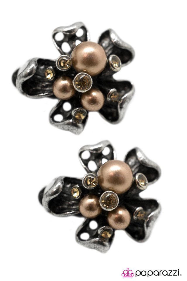 Paparazzi ♥ Take Me to Church - Brown ♥ Clip-On