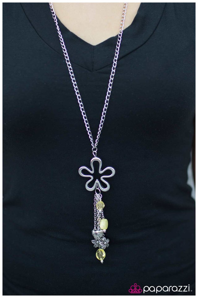 the-flowers-are-blooming-p2wh-ywxx-052xx