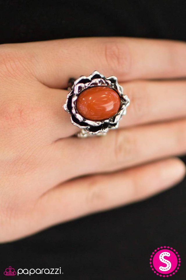 now-you-see-it-orange-p4wh-ogxx-036xx