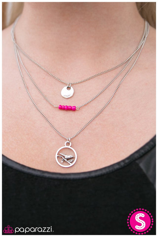 rockin-robin-pink-p2da-pkxx-035xx