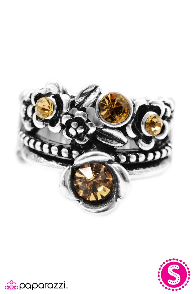 Paparazzi ♥ Oh, This Old Thing? - Brown ♥ Ring
