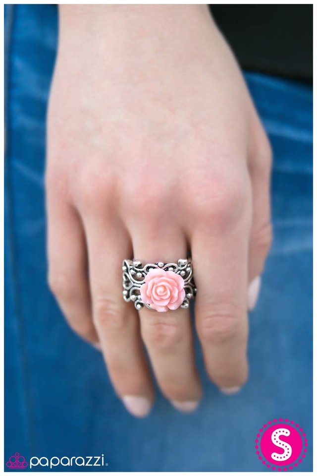 the-rose-society-pink-p4wh-pkxx-058gr